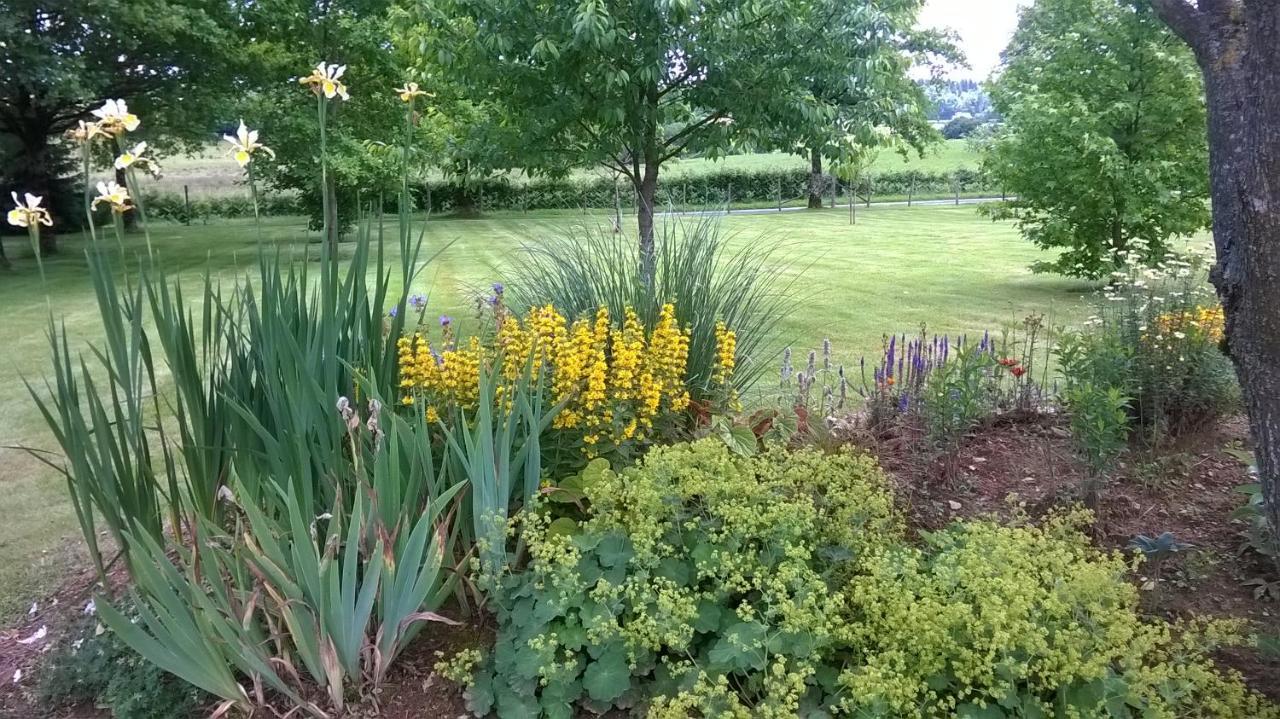Maison Maton La Roche-lʼAbeille Eksteriør bilde